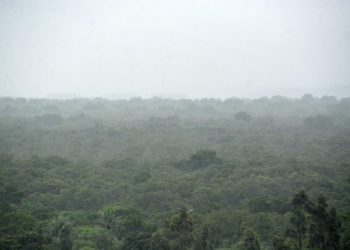 Com ventos acima de 70 km/h, Grotão, Cuiá e Tambauzinho foram os bairros mais atingidos pelas chuvas