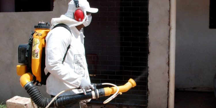 Saiba como denunciar possíveis focos de dengue em João Pessoa