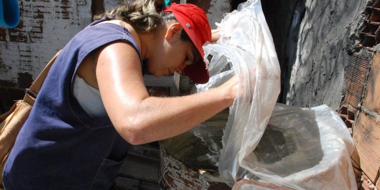 João Pessoa apresenta baixo risco de infestação predial por Aedes aegypti