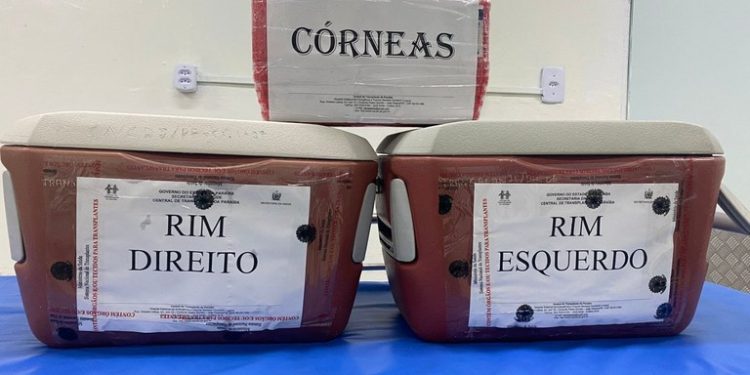 Central Estadual de Transplantes registra 10ª doação de órgãos e tecidos