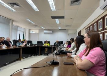 Secretaria Municipal de Saúde participa de audiência pública sobre violência obstétrica