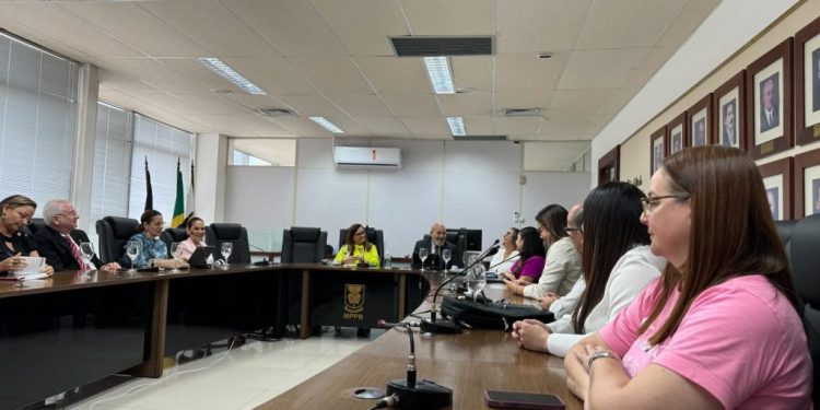 Secretaria Municipal de Saúde participa de audiência pública sobre violência obstétrica