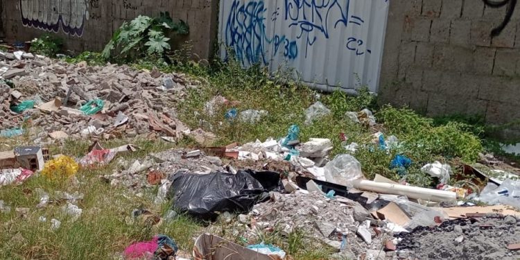 Descarte irregular de resíduos em terrenos aumenta risco de proliferação do Aedes aegypti