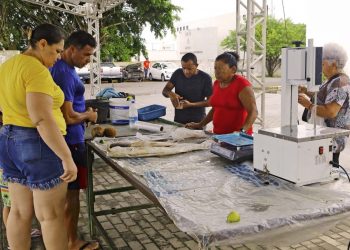 Semana do Pescado ultrapassa expectativa de vendas e fortalece comercialização de produtos da agricultura familiar