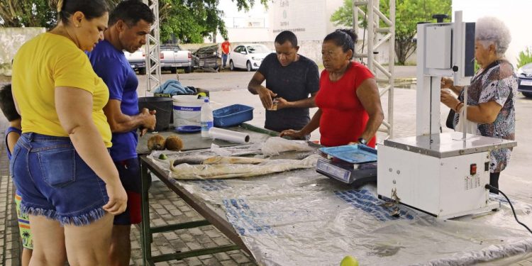 Semana do Pescado ultrapassa expectativa de vendas e fortalece comercialização de produtos da agricultura familiar