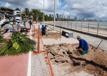 Semam realiza plantação de coqueiros adultos na praia do Cabo Branco e leva mais conforto térmico para a região