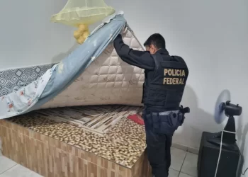 Operação da Polícia Federal combate fraudes em financiamentos pelo Banco do Nordeste