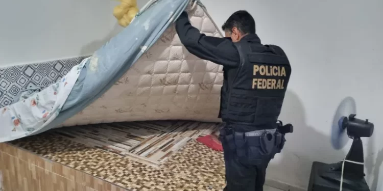 Operação da Polícia Federal combate fraudes em financiamentos pelo Banco do Nordeste