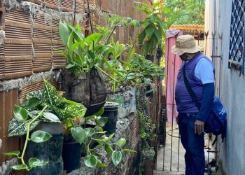 Dia D de combate à dengue: população agradece ação para eliminar mosquito Aedes aegypti e prevenir arboviroses