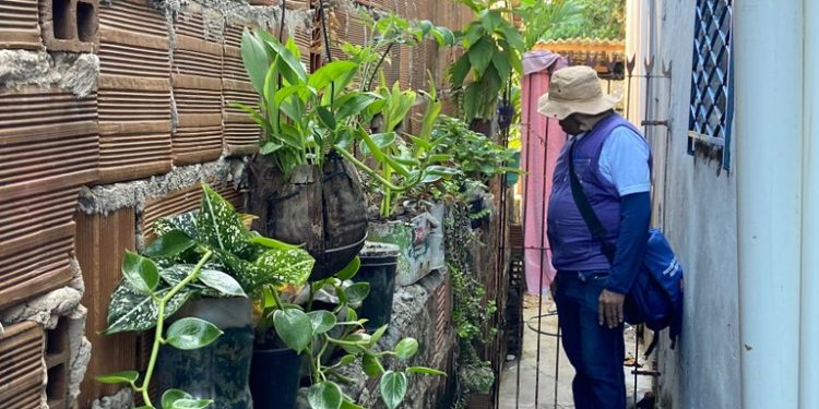 Dia D de combate à dengue: população agradece ação para eliminar mosquito Aedes aegypti e prevenir arboviroses