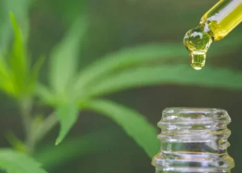 Publicada lei que autoriza acesso a medicamentos à base de cannabis pelo SUS em João Pessoa