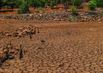 Governo Federal reconhece situação de emergência em 10 cidades de sete estados; Paraíba está na lista