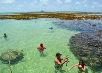 Azul anuncia cinco voos extras para João Pessoa