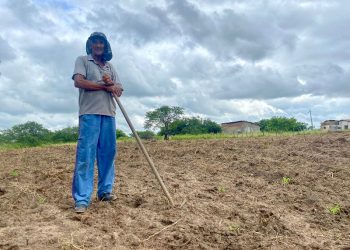 Prefeitura de Patos conclui corte de terra para que agricultores sejam beneficiados e destinem produtos para a venda