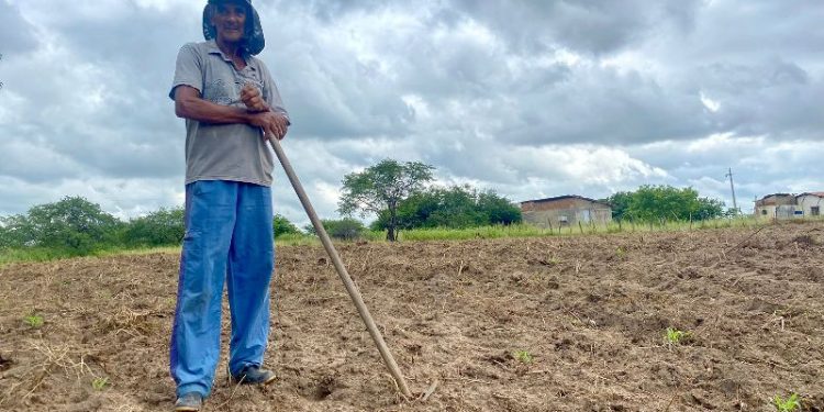 Prefeitura de Patos conclui corte de terra para que agricultores sejam beneficiados e destinem produtos para a venda