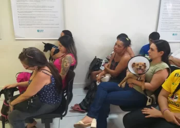 Clínica do Pet completa um ano de ações inovando no atendimento de animais domésticos