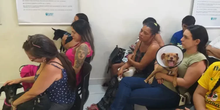 Clínica do Pet completa um ano de ações inovando no atendimento de animais domésticos