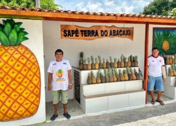 Valorização do comércio local: Prefeitura de Sapé entrega revitalização do Ponto do Abacaxi