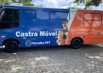 ONGs e protetores independentes devem se cadastrar para acesso gratuito à castração de cães e gatos na Paraíba
