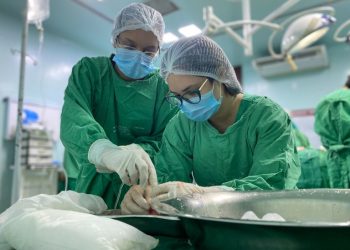 Paraíba registra recorde em tripla doação de multiórgãos e tecidos e 12 pessoas saem da lista de espera para transplantes