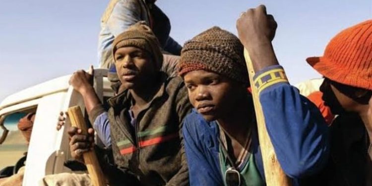 Cinema Comentado traz filme italiano indicado ao Oscar