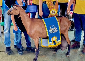 Governo do Estado promove fampress para a Festa da Cabra Rainha, em Santo André