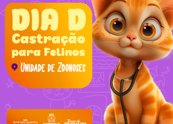 Unidade de Zoonoses de Cabedelo vai realizar mais um Dia D de Castração de felinos