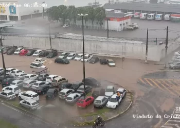 VEJA: Fortes chuvas provocam alagamentos, queda de árvores e desabamentos em João Pessoa