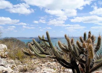 Projeto sobre o Fundo Nacional sobre Mudança do Clima está na pauta da CAE