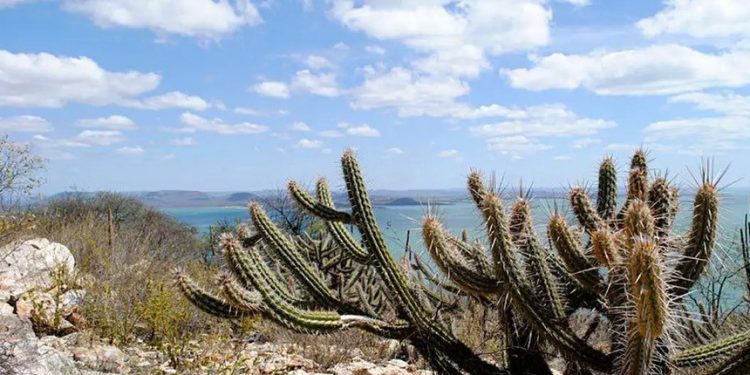 Projeto sobre o Fundo Nacional sobre Mudança do Clima está na pauta da CAE
