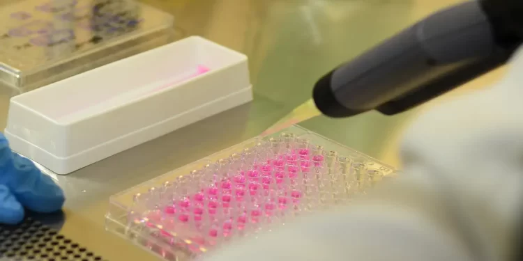 Vírus zika pode voltar a se replicar após recuperação, aponta estudo