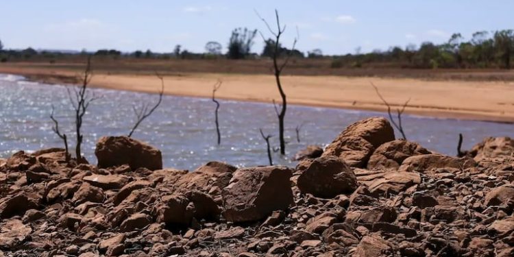 Prejuízos por seca são os maiores no país, e danos chegam a R$ 391 bilhões em 24 anos