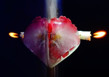 Funesc abre a exposição Coração Gelado, no Espaço Expositivo Alice Vinagre