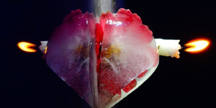 Funesc abre a exposição Coração Gelado, no Espaço Expositivo Alice Vinagre