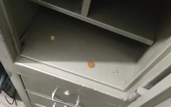 TCE vai em busca de R$ 500 mil em cofre de prefeitura paraibana mas só encontra R$ 0,05