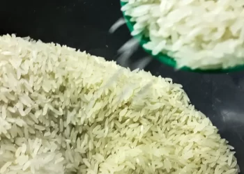 Governo Federal anula leilão e cancela compra de arroz importado