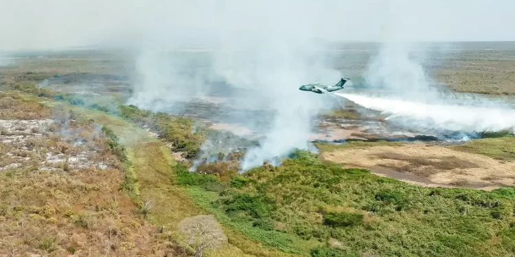 Lula sanciona política para uso controlado do fogo