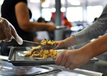 Sancionada lei que regulamenta profissão de técnico em nutrição e dietética