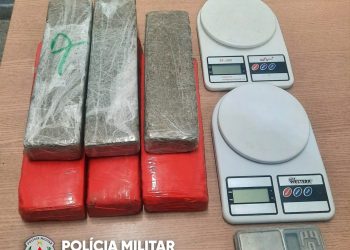 PM apreende quase 500 porções de drogas durante as ações do fim de semana na PB