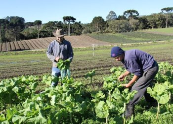 Pronaf investe R$ 766,3 milhões na agricultura familiar na Paraíba
