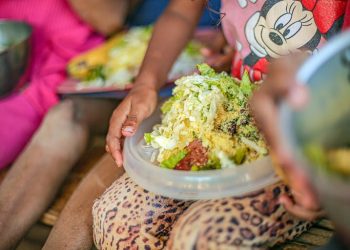 Mapa da Fome da ONU: insegurança alimentar severa cai 85% no Brasil em 2023