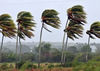 Inmet emite alerta de vendaval para todos os municípios da Paraíba