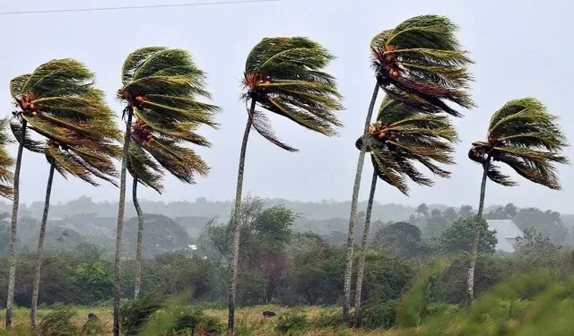 Inmet emite alerta de vendaval para todos os municípios da Paraíba