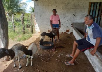 Agricultores familiares assistidos pela Empaer de Itabaiana comemoram resultados do Incluir Paraíba