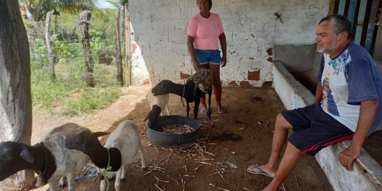 Agricultores familiares assistidos pela Empaer de Itabaiana comemoram resultados do Incluir Paraíba