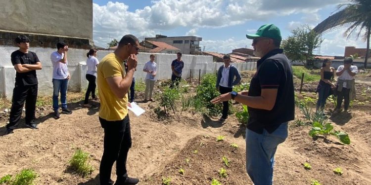 Estudantes de escolas estaduais da 2ª Regional de Ensino desenvolvem hortas orgânicas e produção é utilizada na merenda