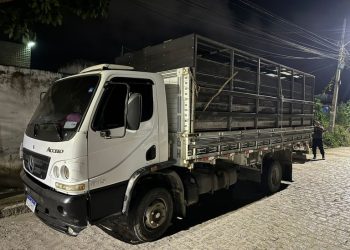 Polícia Civil recupera 37 cabeças de gado furtadas em cidades do Agreste paraibano