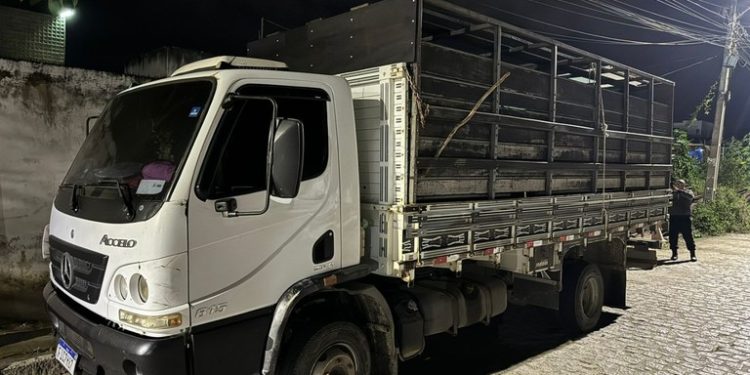 Polícia Civil recupera 37 cabeças de gado furtadas em cidades do Agreste paraibano