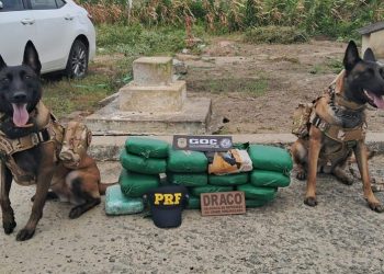 PRF apreende grande quantidade de “supermaconha” e flagra motoristas embriagados na Paraíba