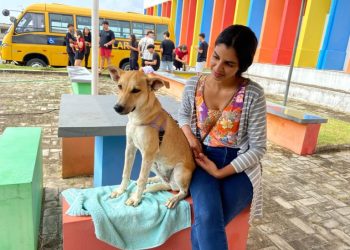 Paraíba Pet: parceria com ONG leva serviço de castração para cães e gatos de Guarabira